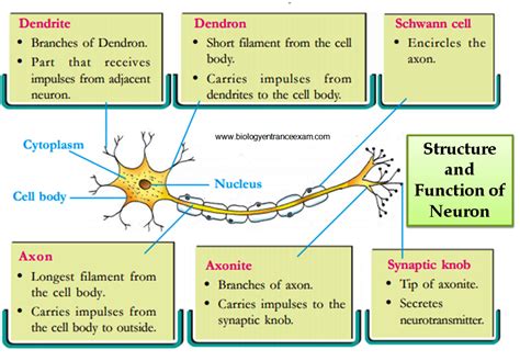 Biology Entrance Exam