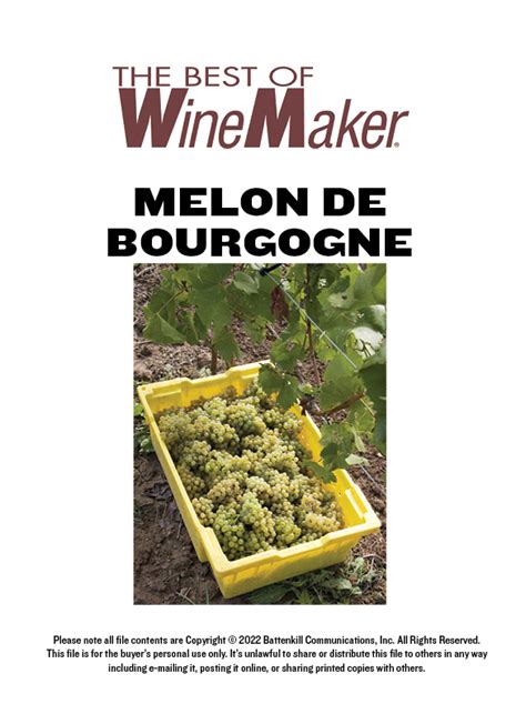 Melon de Bourgogne - WineMakerMag.com