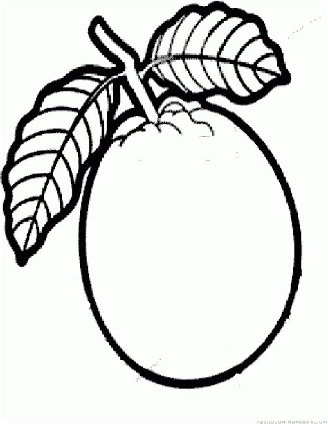 Colouring Guava - ClipArt Best