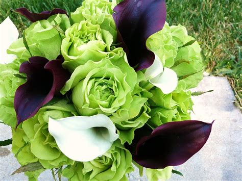 Allinallwalls : Most beautiful green roses in the world, green flowers ...