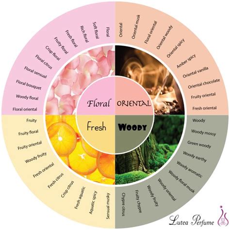 Luthea Perfume | Fragrance wheel • Fragrance chart | Fragrance, Perfume ...