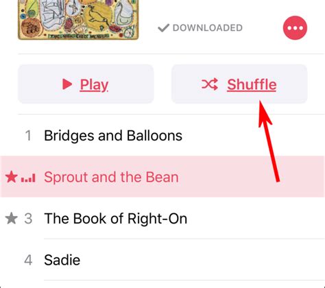 How to Shuffle or Repeat Songs on iPhone or iPad