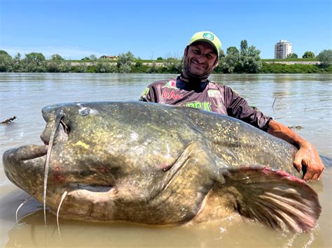 Angler Catches Pending World-Record Wels Catfish | Outdoor Life