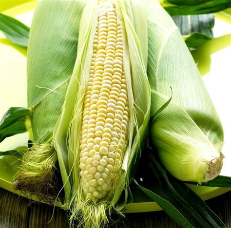 The Ultimate Corn Guide: Grow, Harvest, Cook & Preserve | An Oregon Cottage