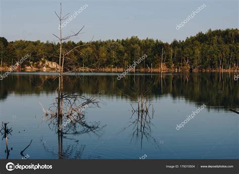 Forest Reflection Lake — Stock Photo © cellar-door #179315504