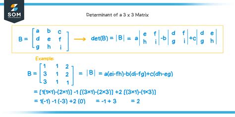 Determinant of a 3x3 matrix - Explanation & Examples