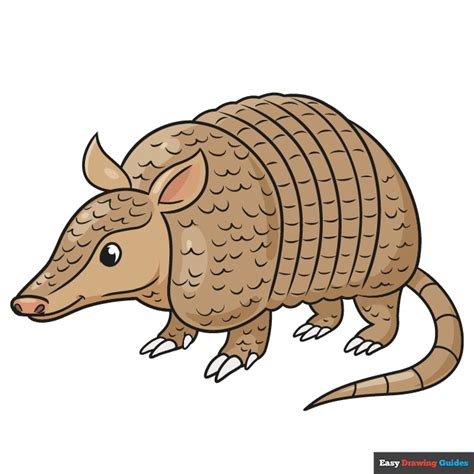 How To Draw An Armadillo