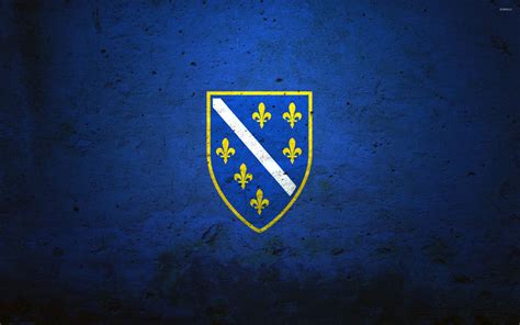 Flag of the Bosnian Kingdom wallpaper - Digital Art wallpapers