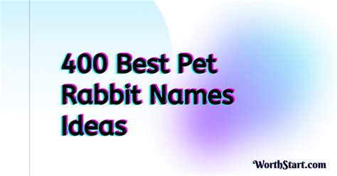 400 Best Pet Rabbit Names That You Can Use