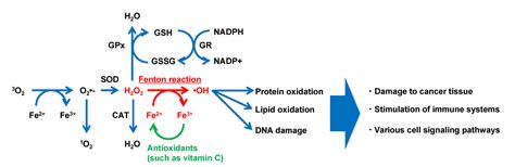 Molecules | Free Full-Text | Current Use of Fenton Reaction in Drugs ...