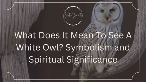 What Does It Mean To See A White Owl? Symbolism & Spiritual Significance