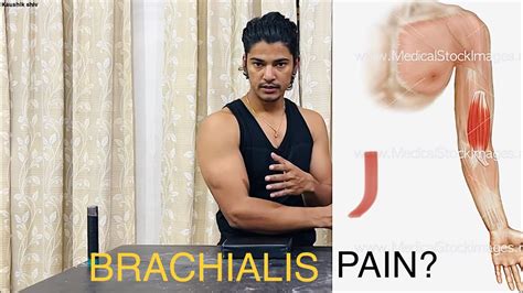 HOW TO RECOVER FROM BRACHIALIS PAIN ? - YouTube