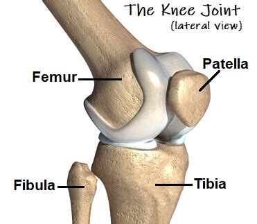 Squat Form Deconstructed Part 3 - Knee Mobility