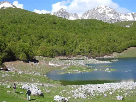 Eco- and Wild-Carnivore Tourism supports Abruzzo National Park, Italy ...