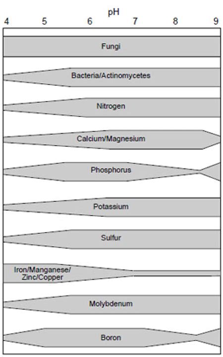 Nutrient availability: Soil pH - Minnesota Soybean