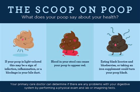 Identifying Types Of Poop With The Bristol Stool Chart And More | vlr ...