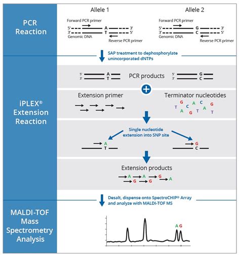 SNP Genotyping Analysis | | 豐技生技