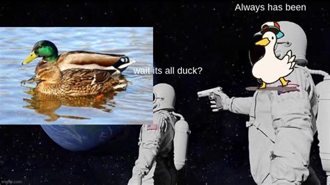 *duck noises* - Imgflip