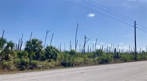 Vacant Land | Abaco, The Bahamas - Colonial Realty LTD.