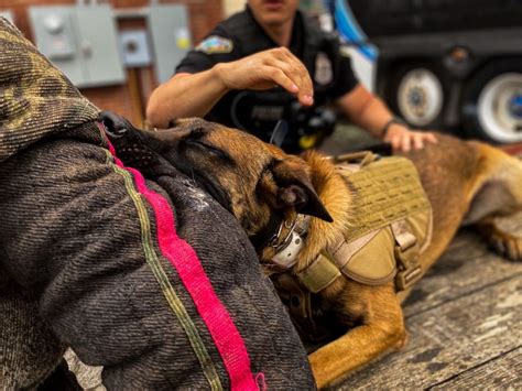 Playful Police K9 Can’t Contain His Excitement During His Swearing In ...