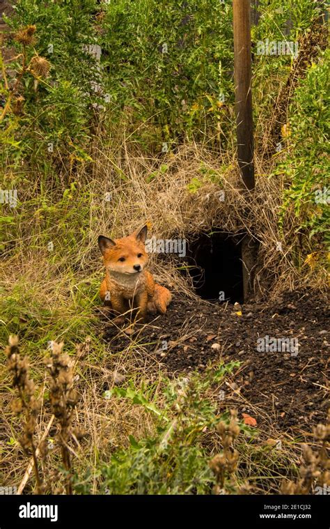 Fox den hi-res stock photography and images - Alamy