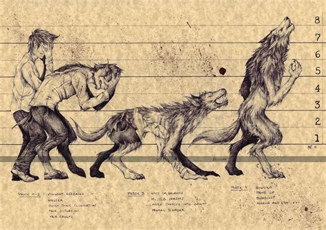 Big Poster Werewolf Transformation Mythology Art Print | Etsy