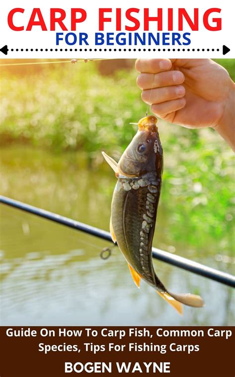 CARP FISHING FOR BEGINNERS: Guide On How To Carp Fish, Common Carp ...