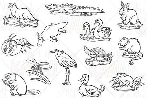 Wetland Animals Clip Art | Pre-Designed Photoshop Graphics ~ Creative ...