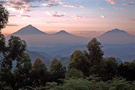 Virunga Mountains - Achieve Gorilla Tours