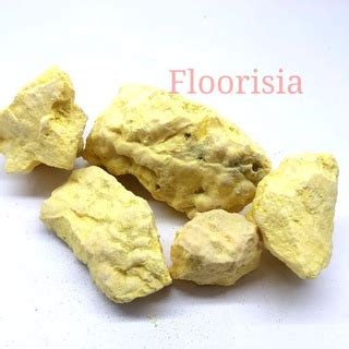 Jual Sulfur Powder Sulphur Powder Bubuk belerang halus obat penyakit ...