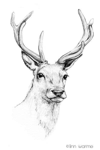 Épinglé par 𝐀𝐫𝐬𝐮𝐞𝐥𝐚 𝐂𝐮𝐫𝐚𝐣 sur Drawings | Cerf dessin, Idées esquisses ...