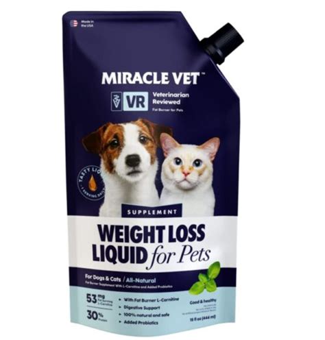 7 Best Dog Weight Loss Supplements