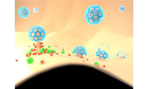 Clathrin assembly defines the onset and geometry of cortical patterning