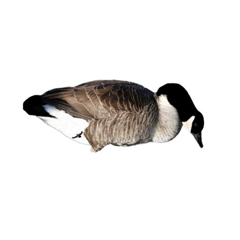 Canadian Goose Decoys | Committed Waterfowl