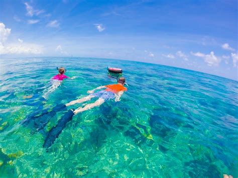 15 Pristine Places For Snorkeling In Florida - Florida Trippers