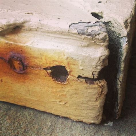 A DIY Guide to Repairing Rotted Wood :: FOOYOH ENTERTAINMENT