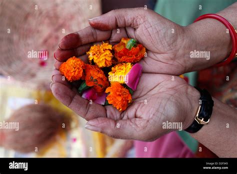 Hindu prayer. Flower offering . Mathurai. India Stock Photo - Alamy