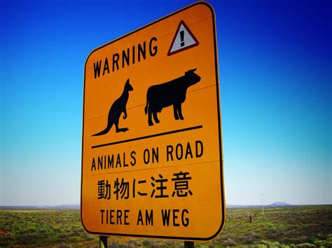 roadsign Animals on road in Australia Free Photo Download | FreeImages