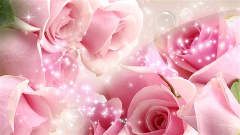 Download Pink Roses Background | Wallpapers.com