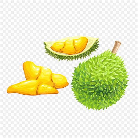 Durian Fruit Vector Hd PNG Images, Durian Cartoon Cartoon Durian King ...