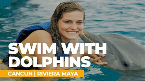 Swim with Dolphins Cancun, Riviera Maya - YouTube