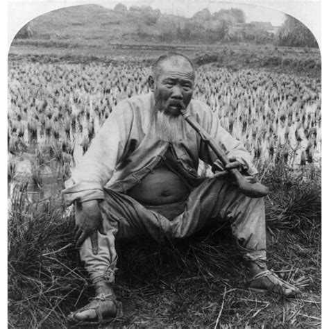 China Farmer C1900 Nan Old Chinese Farmer Seated In His Rice Field ...