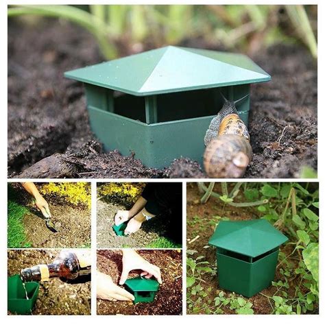 Inerposs Snail Home - Perfect Simulation of Natural Environment for ...