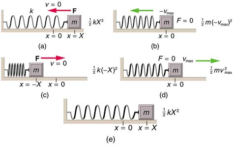 Energy and the Simple Harmonic Oscillator · Physics