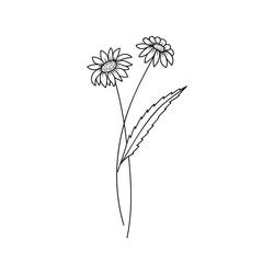 Daisy Flower Drawing Tattoo