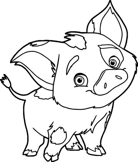 Pua Moana coloring page - Coloring pages 🎨