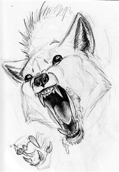 Scary Wolf Teeth etc. by AdmYrrek on DeviantArt