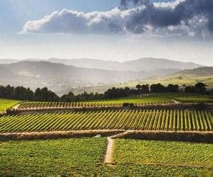 Penedes, Catalonia [Catalunya] - Spain Wine Region | Wine-Searcher