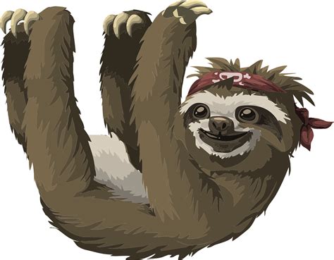 562 Quirky Sloth Names to Match Their Chill Vibe - Animal Hype