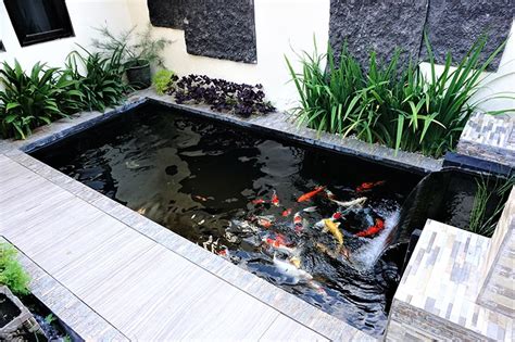 21 Backyard Pond Ideas For Inspiration | Trees.com